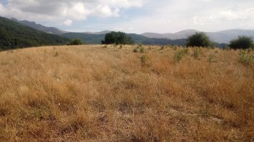 Goimendi (1127m) gainaldea