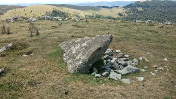 Gibelea trikuharria Auztarri tontorrean