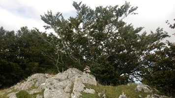 Adatun (1248m) tontorra