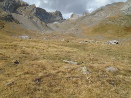 ansotiello trikuharria