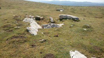 Arrizabala trikuharria (2020)