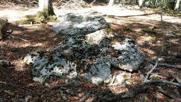 Baio I zutarria (2020)