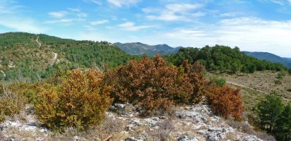 Kaztelualdeko gailurra