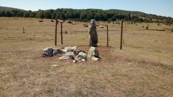 Legaire I trikuharria eta zutarria