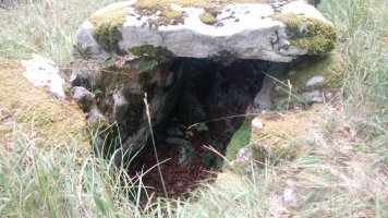 Seakoain II trikuharria