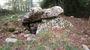 Seakoain I trikuharria (2020)