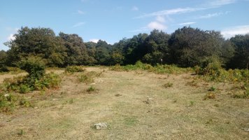 Askiolagaña (1208m) gaina