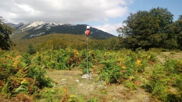 Askiolagaña (1208m) tontorra, atzean Aizkorri