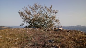 Arimekorta (939m) tontorra