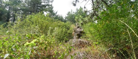 Santa Kruz, gailur itxia