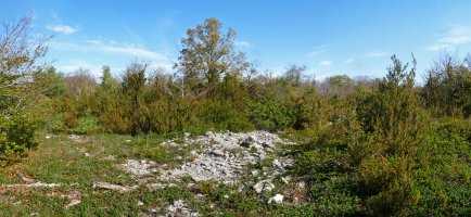 Olataguasko gailurra