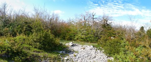 Olataguasko gailurra