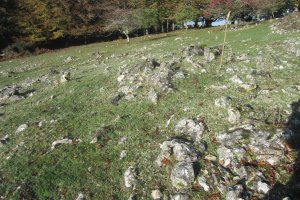 Dólmen Txumartegi III sur (Octubre 2020)