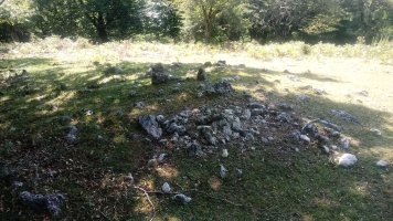 Lezana arrasoa trikuharria