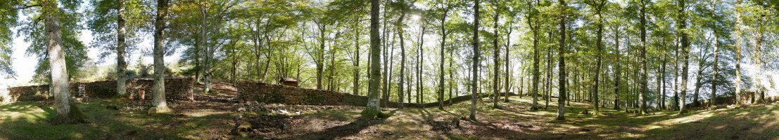 Arlamendiko mintegia