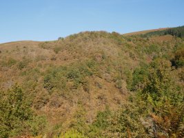 Arlamendiko mintegia hegoaldetik ikusita