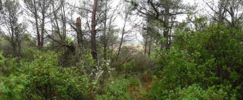 Legardaldea mendiko gailurra