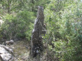 Monolito La Mina  (Marzo 2015)