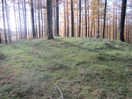 Túmulo Biribilleta  (Noviembre 2016)