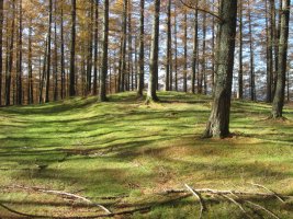 Túmulo Biribilleta  (Noviembre 2016)