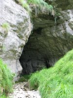 Leizea Tertangako igoeran