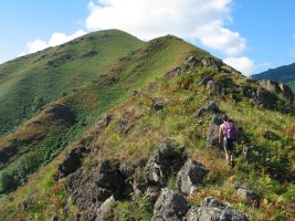 Hartxahaleko gandorra