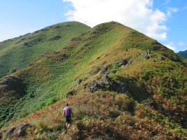 Hartxahaleko gandorra