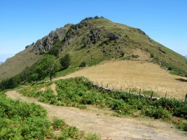 Ireiko lepotik ikusita