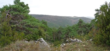 Ikuspegi mugatuak, baina eskertzeko modukoak gailurertik