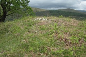 Túmulo Beileku   (Abril 2019)