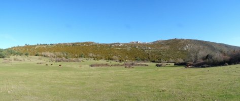 Playako larreak, Larrogaingo malkarren azpian