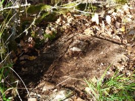 Tako geodesikoa gailurretik mendebaldera