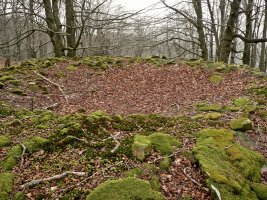 balankaleku Ipar Trikuharria