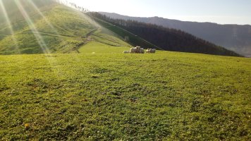 Lizundia (507m) tontorra
