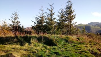 Urnobieta (644m) tontorra