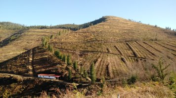 Azkarate (664m) Abatetxe aldeko lepotik