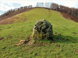 Larrarte Trikuharria