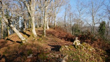 Tontorraren inguruak