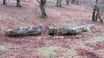 Uraska I zutarria, Entzia