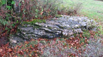 Uraska II zutarria, Entzia