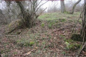 Túmulo Monterredondo (Febrero 2021)