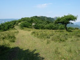 Gandorreko ikuspegi bat