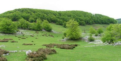 Txemiñe aldetik ikusita