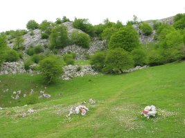 Marka zurigorriak Guardetxeko bidea