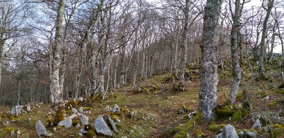 Bidea gainaldean barrena