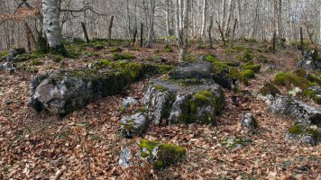 Larrazabal 1-2 zutarria, Entzia