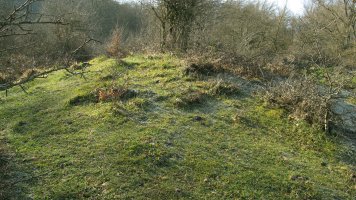 Berjalaran norte trikuharria, Donemiliaga