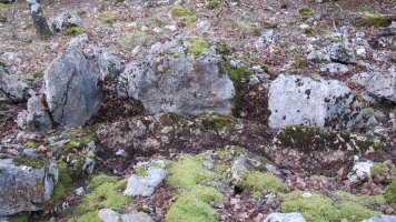 Berjalaran 3 erdi trikuharria, Donemiliaga