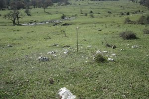 Túmulo IV Campo T. Legaire Norte (Octubre 2020)