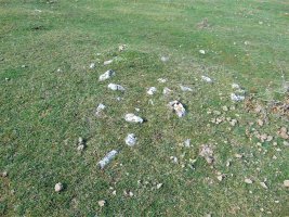 Lagaire Norte Eremu Tumularra